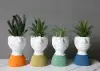Hanlv handicrafts, creative cement character images, realistic succulent plant potted plants, bonsai, home decoration ornaments, window display decoration props Item Picture